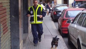 Un agente con unode los perros detectores de acelerantes