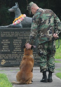 Un homenaje a los perros militares