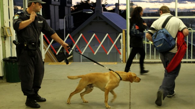 "perros detectores drogas Australia"