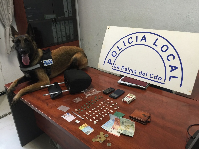 alt="perro policía detector La Palma"