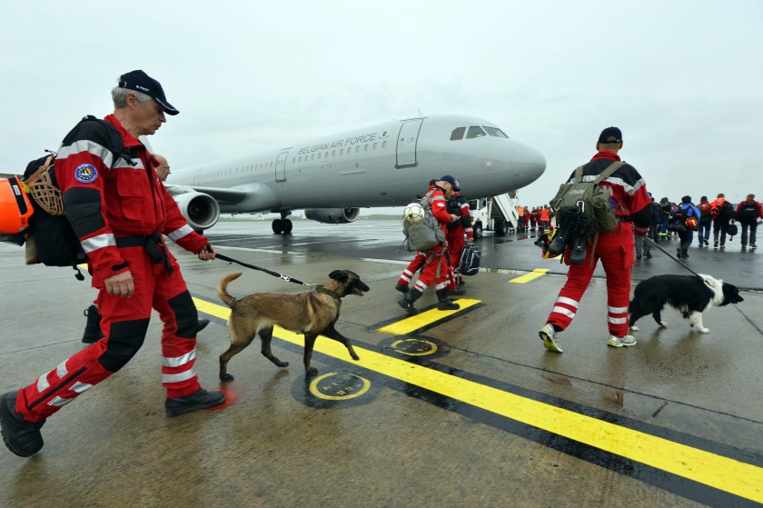 Código ético para guías caninos de rescate