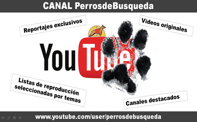 Canal PerrosdeBusqueda Youtube