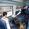 alt="perro detector de drogas en tren"