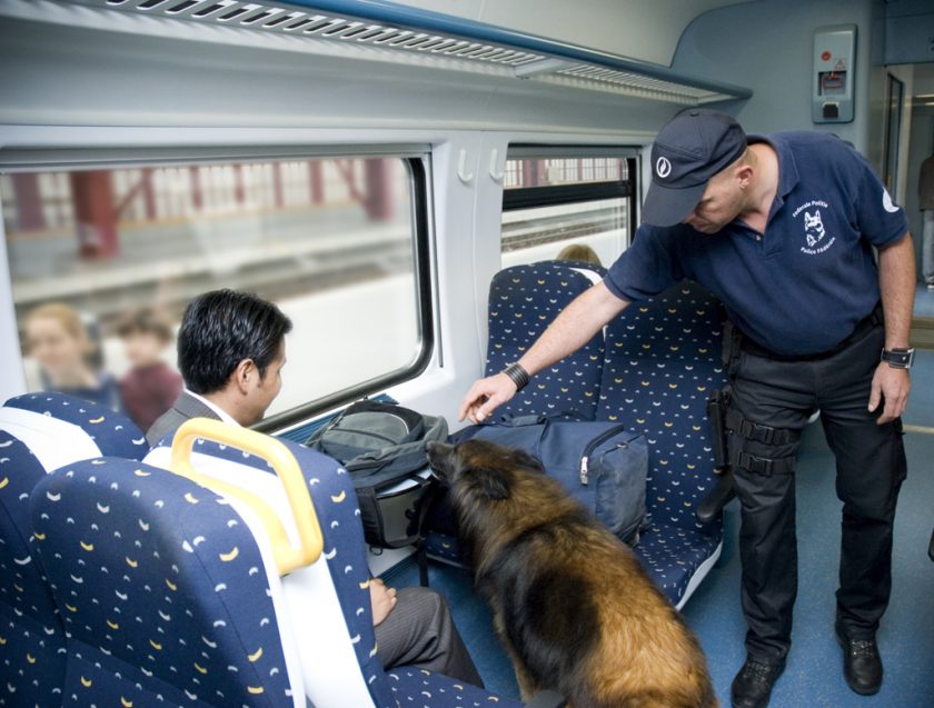 detectores policiales