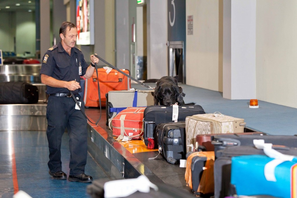 detectores policiales