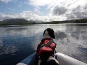 DVSD-Fern-in-Loch-Awe-search