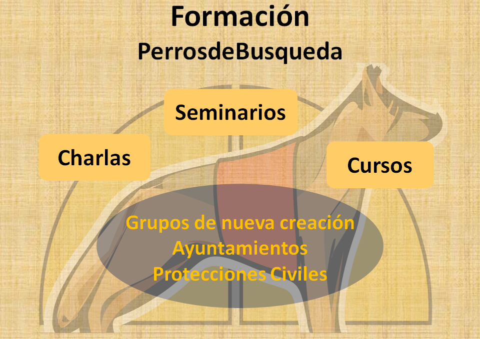 FormaciónPdeB