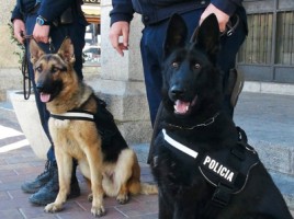 alt="perros unidad canina Zarzaquemada"