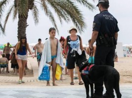 alt="perros refuerzan vigilancia playas"