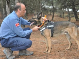 alt="perros de rescate usan Garmin"