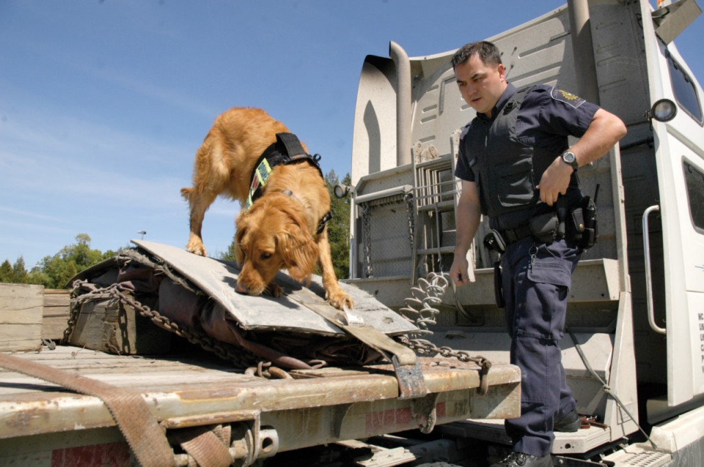 detectores policiales