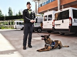 alt="perro antidroga Policía Plasencia"