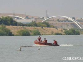 alt="Buscan desaparecido Guadalquivir"