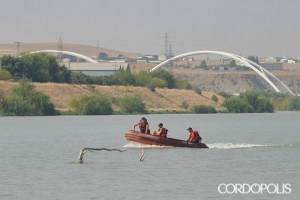 Labores de búsqueda del joven desaparecido en el Guadalquivir. TONI BLANCO