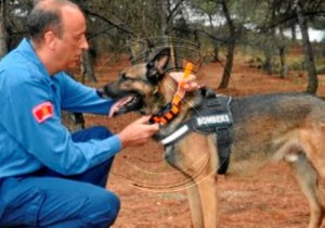 Un perro halla a una mujer 