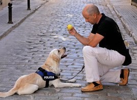 alt="Unidad canina Policía Local Jerez"