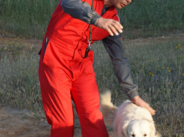 alt="Unidad Canina rescate Santiponce"