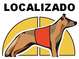 alt="localizado perros"