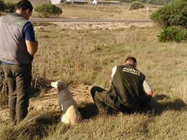 alt="perros detectores venenos Andalucía"