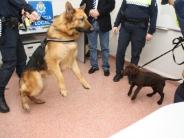alt="Unidad Canina policía Cieza"
