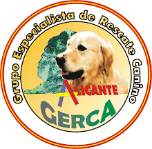 alt="logo GERCA"