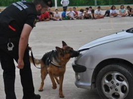 alt="perros policía detectan drogas escuela Alberic"