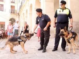 alt="Unidad canina Alcoy busca drogas centros educativos"