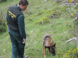 alt="unidad canina cebos Guardia Civil"