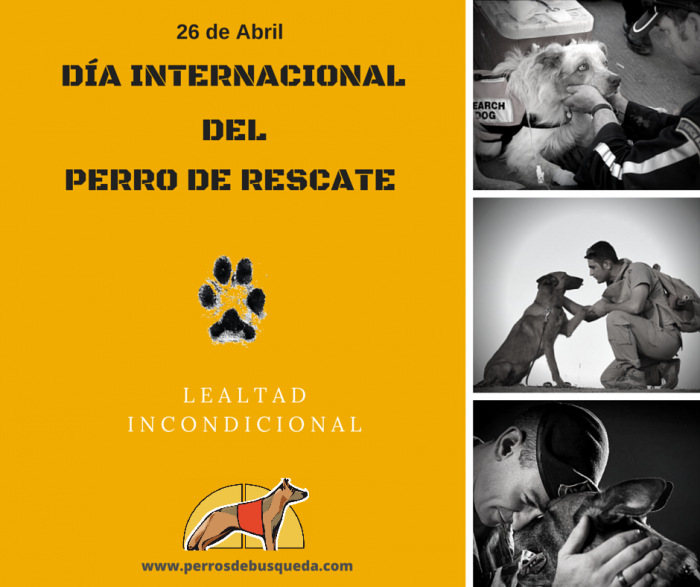 alt="día internacional perro rescate"