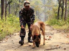 alt="Perro detector caza furtiva Murray"