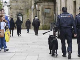 alt="Perros explosivos Policia Nacional Santiago"