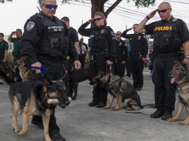 alt="perro policia Nero homenaje cáncer"