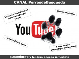 exclusivo canal