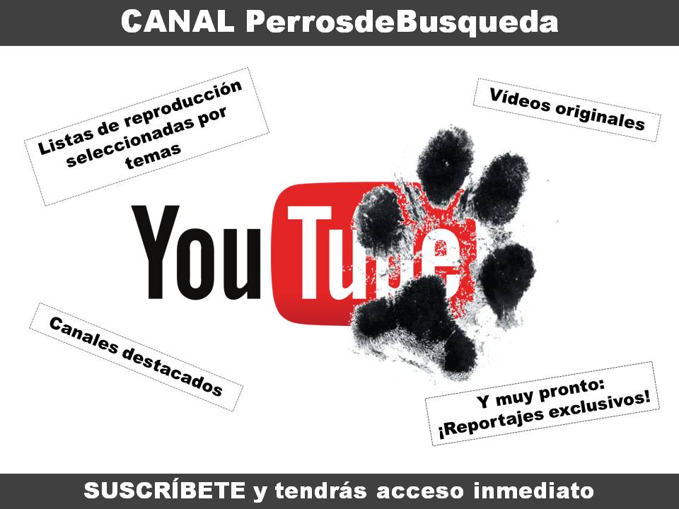 alt="Multimedia canal Youtube"