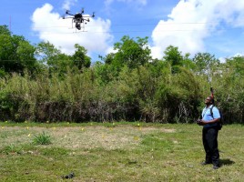 alt="drones y perros protegen aguacate"