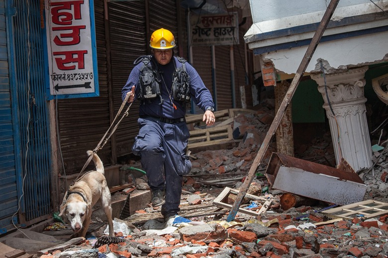 alt="perros rescate Nepal"