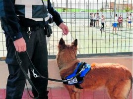 alt="Sara perro policía IES Gran Canaria"