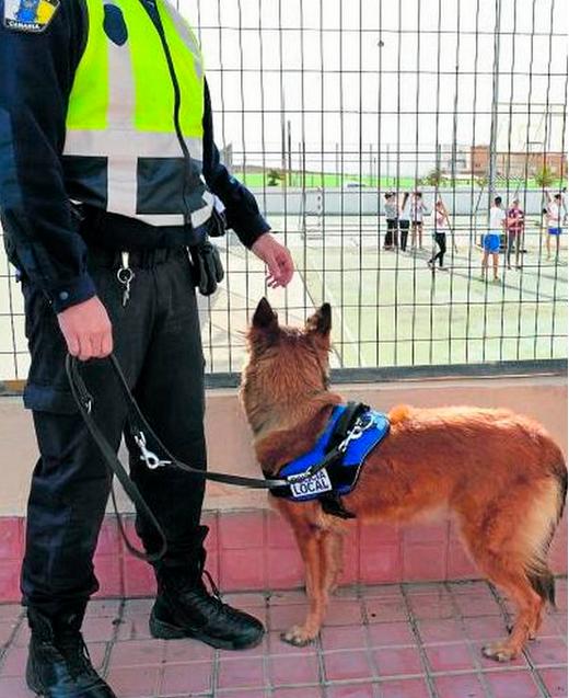 alt="Sara perro policía IES Gran Canaria"