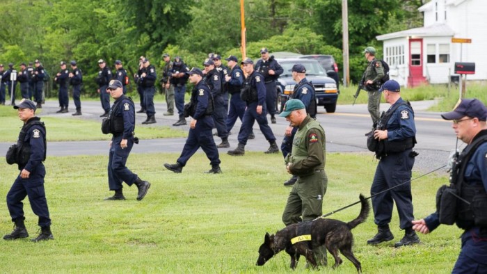 alt="perros buscan fugitivos NY"