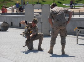 alt="Día Fuerzas Armadas cachorra"