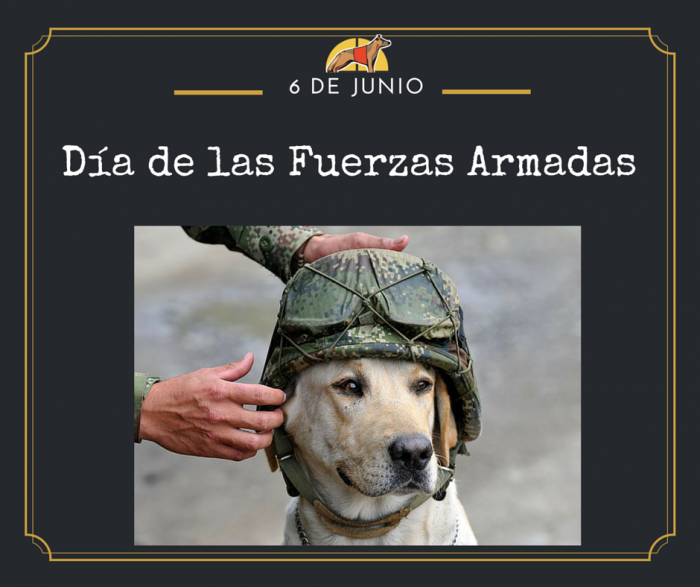 alt="Día Fuerzas Armadas perros"