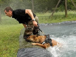 guía canino especialista