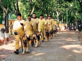 alt="14 perros contra caza furtiva en India"