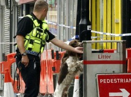 alt="Perro detector British Transport Police"