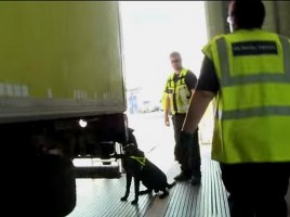 alt="perro detector inmigrantes Calais"