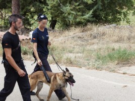 alt="unidad canina Policía Nacional registra finca en Cuenca"