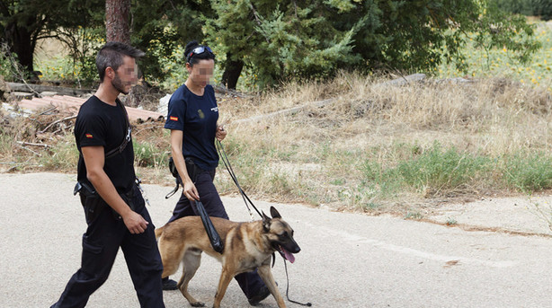 alt="unidad canina Policía Nacional registra finca en Cuenca"