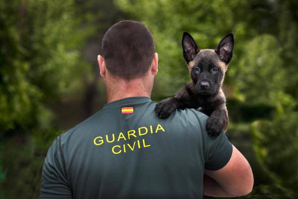 alt="Guardia Civil con cachorro"