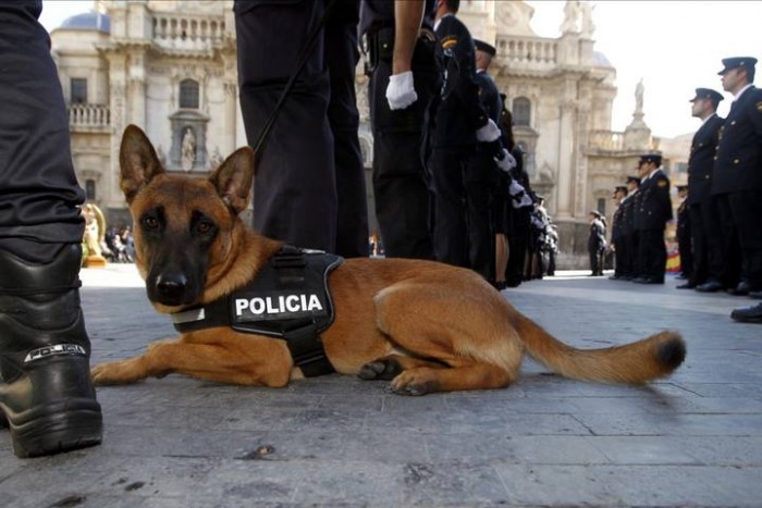 alt="perro desfila en día policía Nacional"