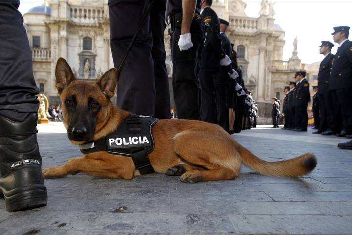 alt="perro desfila en día policía Nacional"